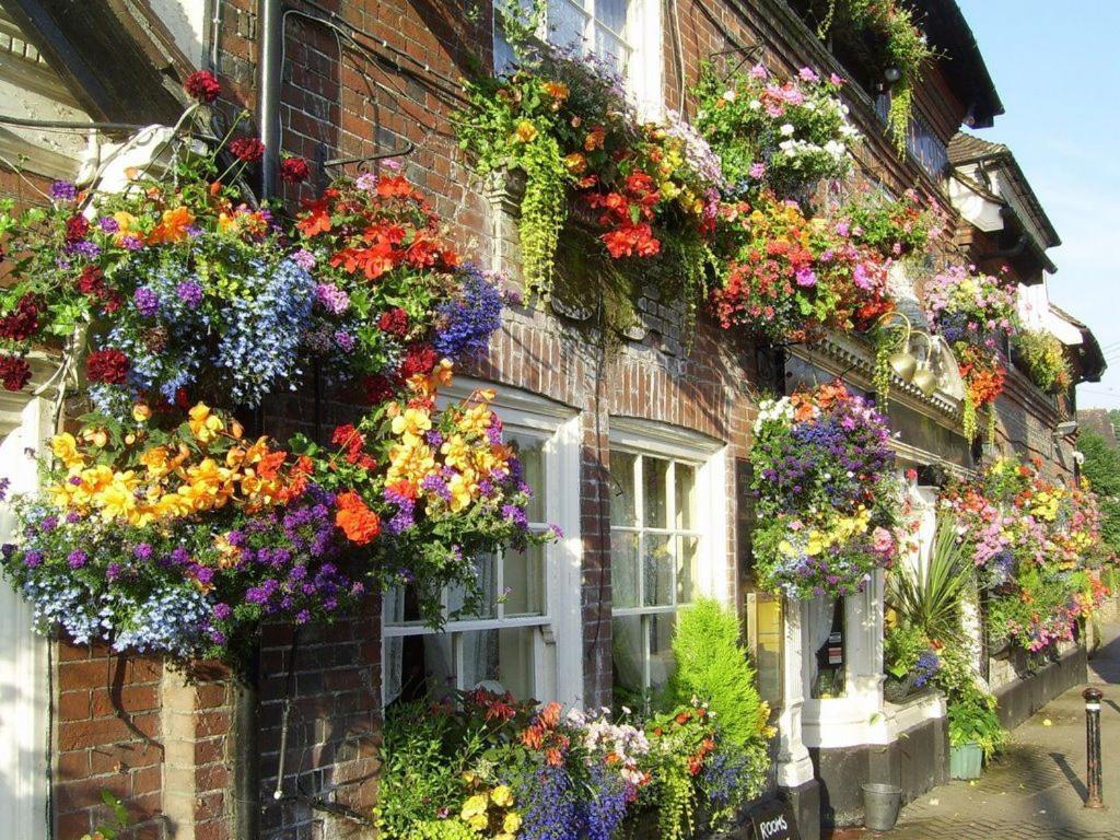 The Castle Inn Hotel Steyning Zewnętrze zdjęcie